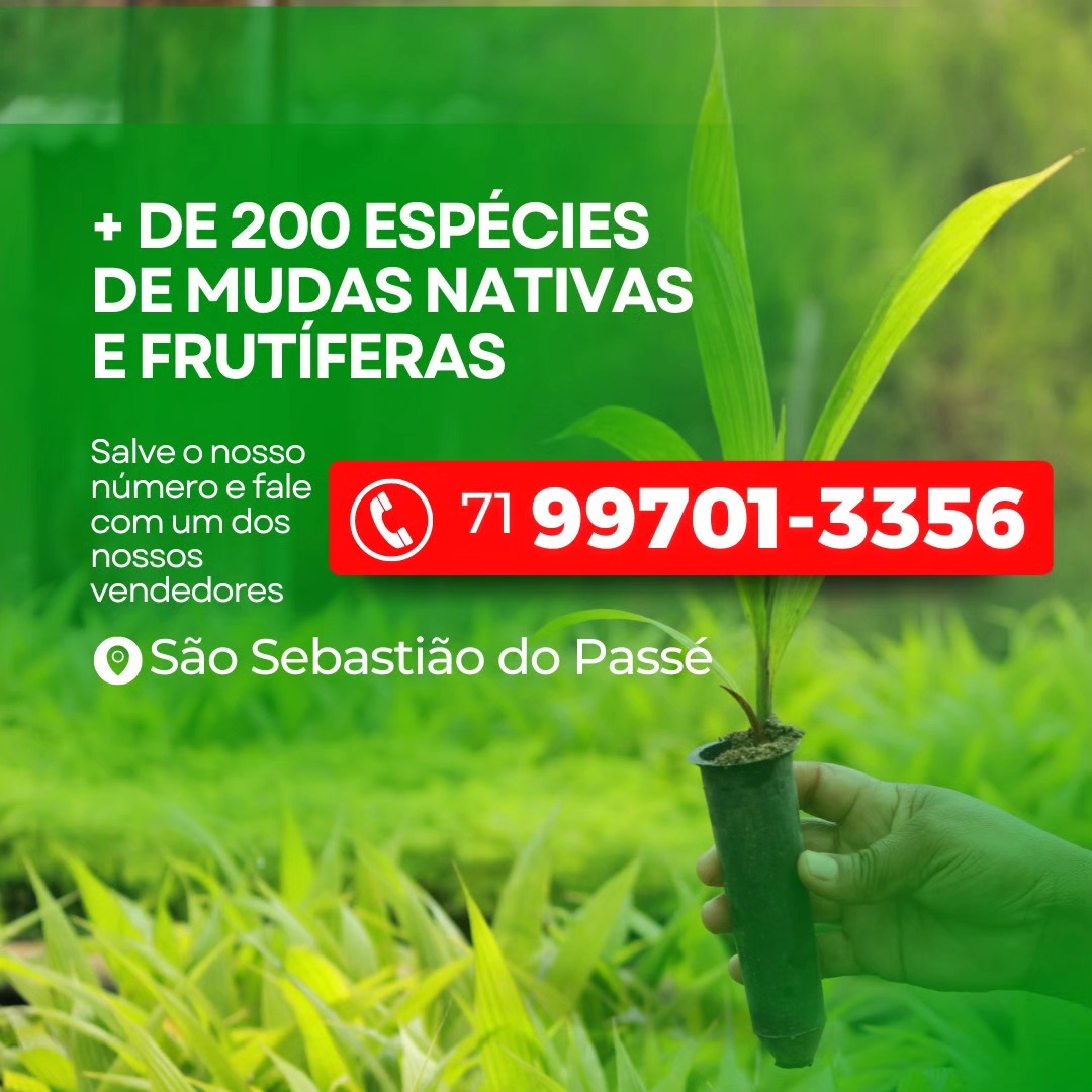 Muda de Pau Ferro
